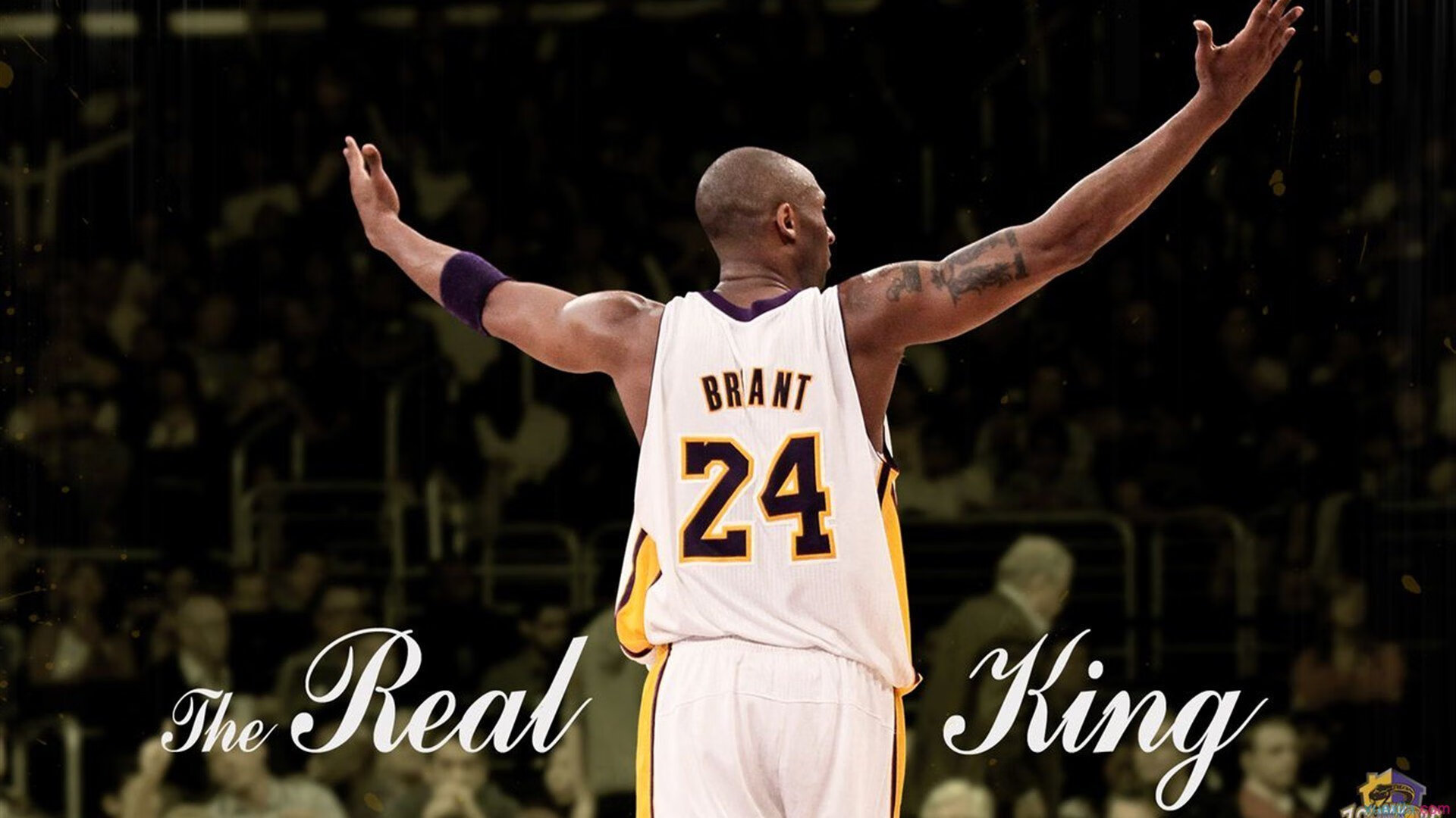 莎拉波娃在快船比赛中赛况扑朔迷离,出色防守引发热议!